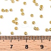 11/0 FGB Grade A Dyed Glass Seed Beads X-SEED-N001-C-0561-4