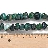 Natural Agate Beads Strands G-H295-B01-18-2