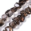 Natural Smoky Quartz Beads Strands G-B072-C01-02-2