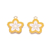 Light Gold Plated Alloy Enamel Pendants PALLOY-N176-28B-RS-1