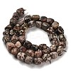 Natural Leopard Skin Jasper Beads Strands G-P497-01E-93-3