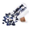 Glass Wishing Bottle Display Decorations AJEW-T013-02D-3