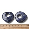 Natural Sodalite Hollow Pendants G-C167-06C-3
