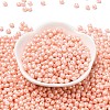 6/0 Glass Seed Beads SEED-L011-08A-25-2