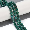 Natural Sesame Jasper Dyed Beads Strands G-H057-A21-05-2