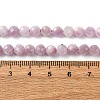 Natural Kunzite Beads Strands G-P587-B01-01-5