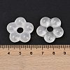 Transparent Glass Beads GLAA-F129-01N-3