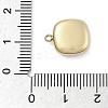 316 Surgical Stainless Steel Charms STAS-S159-02C-G-3