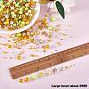 2 Bag Glass Round Beads Set JX547F-2
