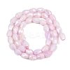 Anti-Tarnish Electroplate Glass Beads Strands GLAA-T025-13A-05-2