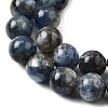 Natural Kyanite/Cyanite/Disthene Beads Strands G-G272-A01-10mm-4