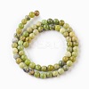 Natural Serpentine Beads Strands G-G767-04-6mm-2