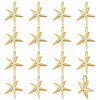 16Pcs Rack Plating Brass Pendants KK-ME0002-12-1