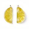 Transparent Resin Pendants RESI-P020-01P-1