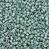 MIYUKI Delica Beads X-SEED-J020-DB2313-3
