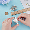 2Pcs Silver Alloy Glass Brooch JEWB-FG0001-55A-3