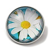 Round Glass Brooches FIND-Q096-01L-1