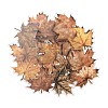 Waterproof PET Stickers Set DIY-Z030-01C-3