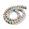 Natural Rainbow Alashan Agate Beads Strands G-NH0022-H01-01-3