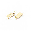 Ion Plating(IP) 304 Stainless Steel Charms X-STAS-N097-166-2