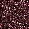 TOHO 8/0 Round Beads X-SEED-TR08-0331-2