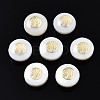 Freshwater Shell Beads SHEL-T018-20-2
