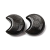 Natural Silver Sheen Obsidian Beads G-Z156-A01-1