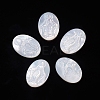 Natural White Shell Cabochons SSHEL-D083-14-1