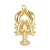 Brass Pendants KK-C116-01B-G-1