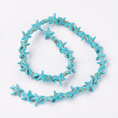 Synthetic Turquoise Beads Strands G-E456-06A-15mm-1