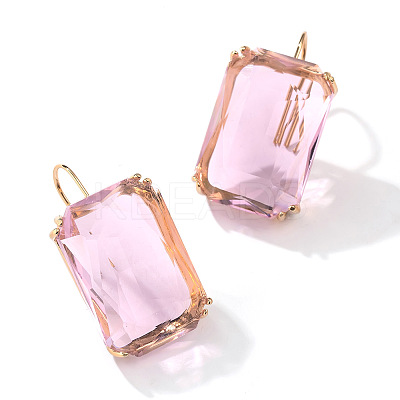 Rectangle Alloy Cubic Zirconia Dangle Earrings FS-WGB3F13-06-1