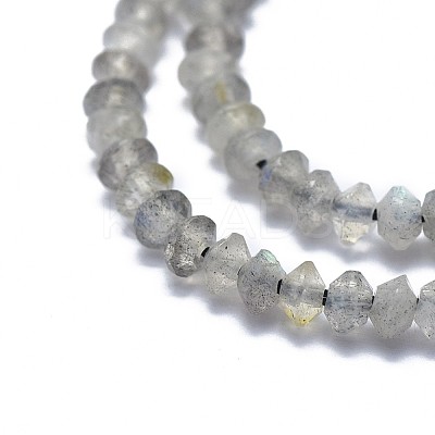 Natural Labradorite Beads Strands G-I249-D17-1
