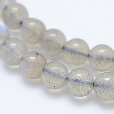Natural Labradorite Beads Strands G-J373-14-4mm-1