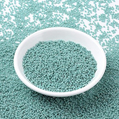 MIYUKI Round Rocailles Beads X-SEED-G007-RR0481-1
