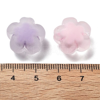 Frosted Transparent Acrylic Beads OACR-A032-25-1