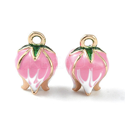 Brass Enamel Charms KK-G462-30LG-1