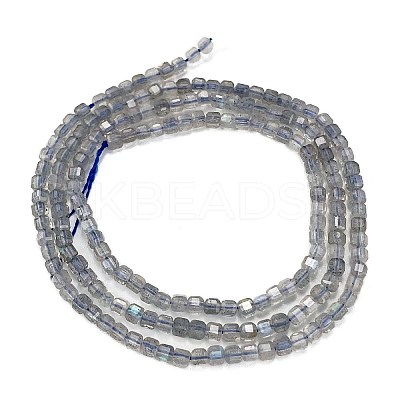 Natural Labradorite Beads Strands G-L597-A01-01-1