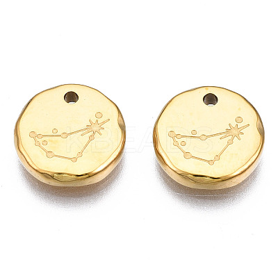 316 Surgical Stainless Steel Charms STAS-S116-418C-G-1