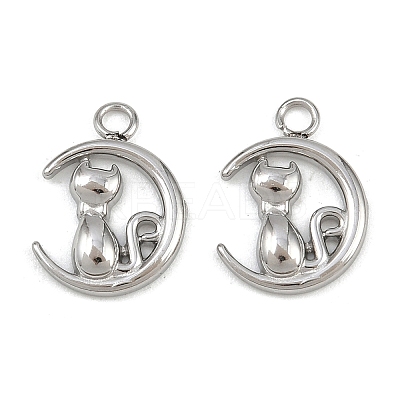 304 Stainless Steel Charms STAS-H242-01P-05-1