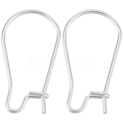 100Pcs 304 Stainless Steel Hoop Earring Findings STAS-BBC0005-94S-01-1