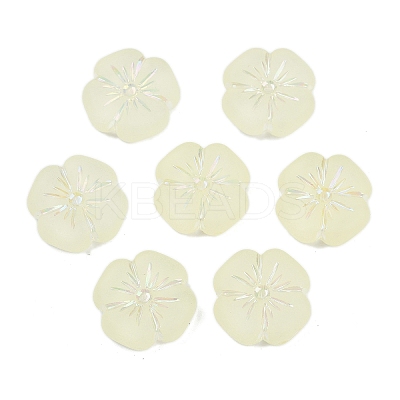 Frosted Transparent Acrylic Beads OACR-P029-19B-03-1