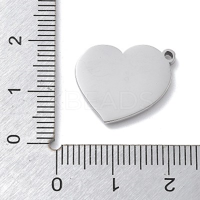 304 Stainless Steel Pendants STAS-Z121-30P-1