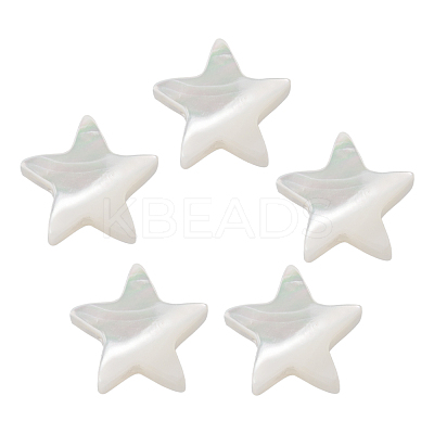 Natural Trochid Shell/Trochus Shell Beads SHEL-CJ0001-20-1