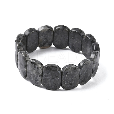Natural Labradorite Beads Stretch Bracelets for Women Men BJEW-I323-02K-1