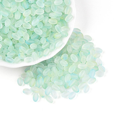 Frosted Glass Seed Beads SEED-N008-05F-1