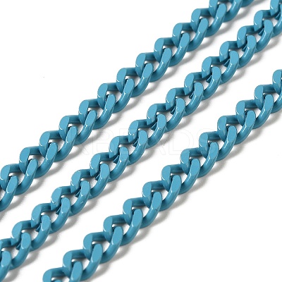 Spray Painted 304 Stainless Steel Curb Chains STAS-B067-05B-06-1