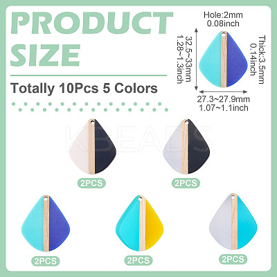 10Pcs 5 Colors Transparent & Opaque Resin & Wood Pendants RESI-TA0004-64-1