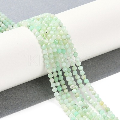 Natural Chrysoprase Beads Strands G-P542-A04-02-1
