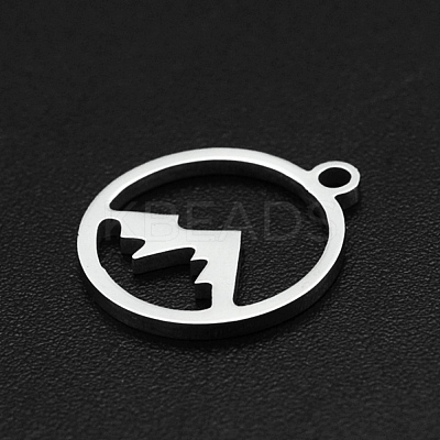 Non-Tarnish 304 Stainless Steel Charms A-STAS-N090-LA003-1