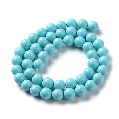 Shell Pearl Beads Strands SP8MM245-1